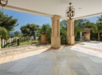 spca_visual_marbella__J0B9181-Edit