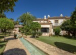 spca_visual_marbella__J0B9245-Edit
