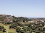 IMG_0767