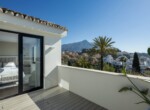 spca_visual_marbella_V9A1706