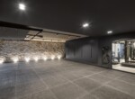spca_visual_marbellaV9A0208
